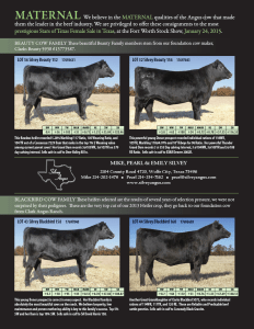 Heifer Sale Livestock Show Fort Worth