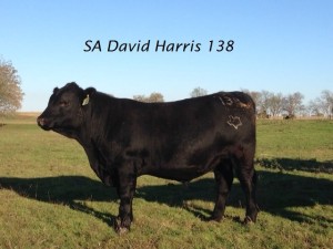 SA David Harris 138