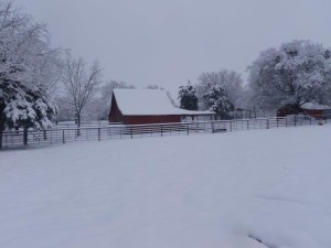 Silvey Angus Ranch in snow