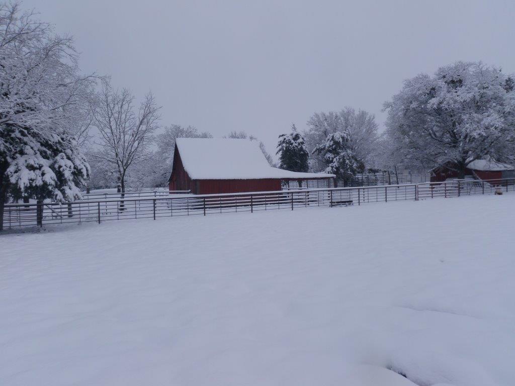 Silvey Angus Ranch in snow