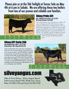 2018 black Angus for sale